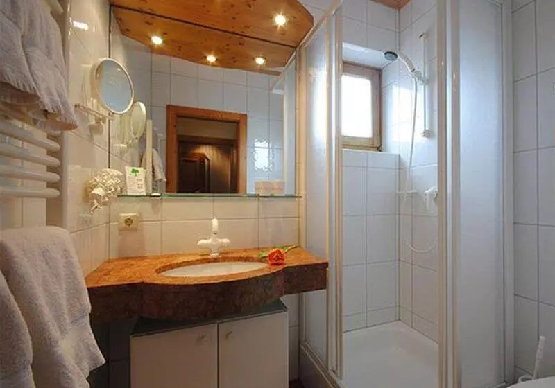 Fotos del hotel Pension Alpenrose:  4