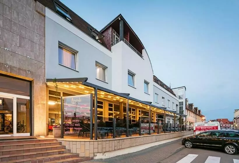 Fotos del hotel Wine Wellness  Amande Hustope?e:  15