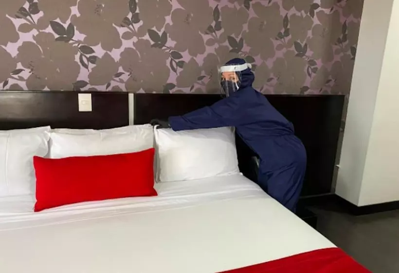 Fotos del hotel Boutique City Center:  23