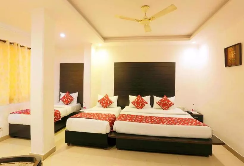 Fotos del hotel Chanakya Inn:  18