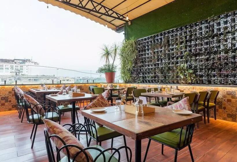 Fotos del hotel Kalinga:  14