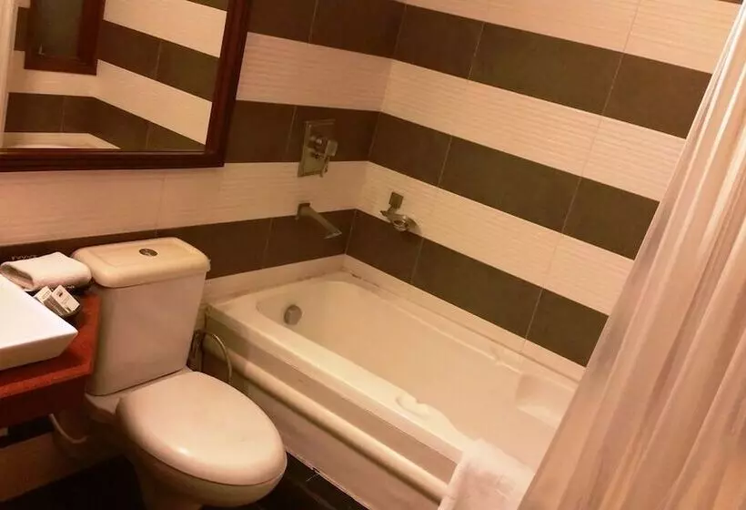 Fotos del hotel Tavisha Villa:  9