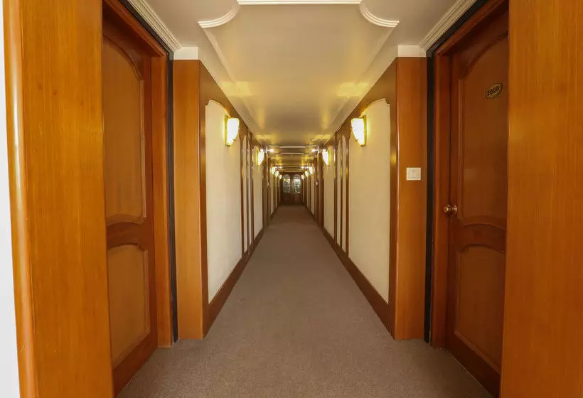 Fotos del hotel Oyo Rooms Majestic:  4