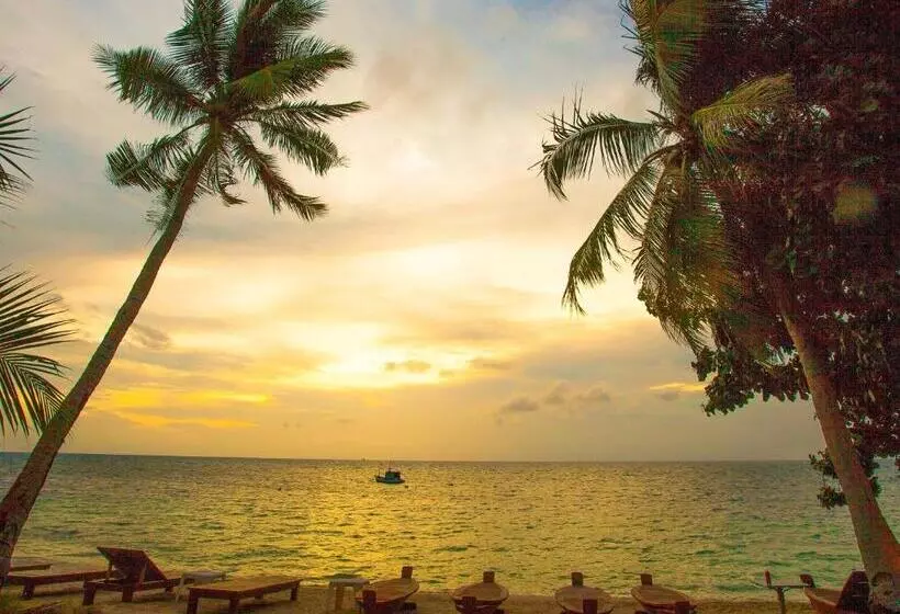 Fotos del hotel Koh Tao Beach Club:  15