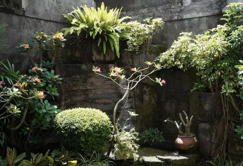 Fotos del hotel Kirana:  17