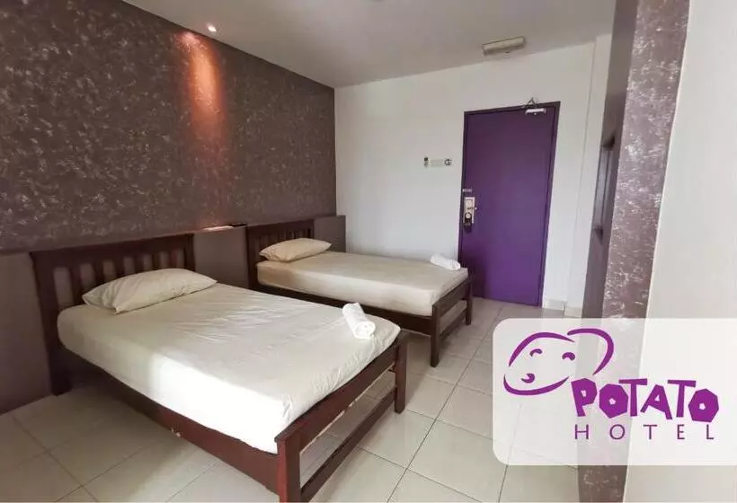Fotos del hotel Potato:  14