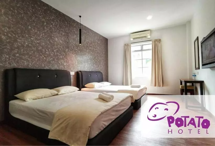 Fotos del hotel Potato:  10