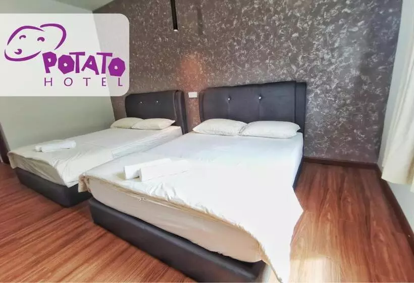 Fotos del hotel Potato:  2