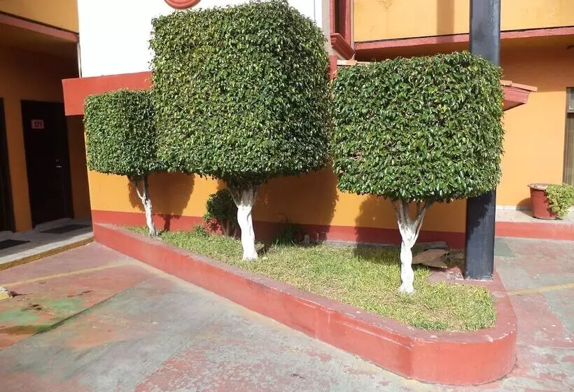 Fotos del hotel San Juan Inn:  4