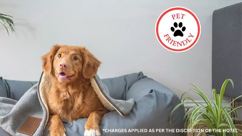 Fotos del hotel Collection O Al Otro Lado Del Rio:  4