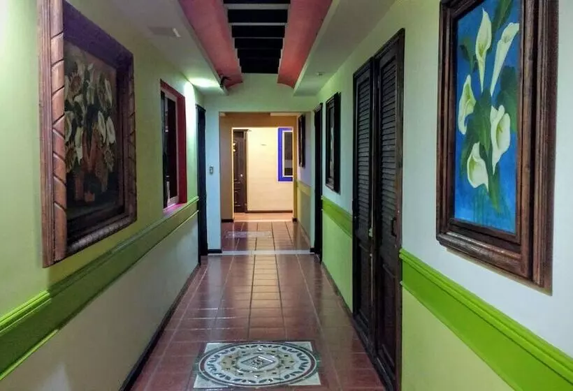 Fotos del hotel Suites Flamboyanes:  3