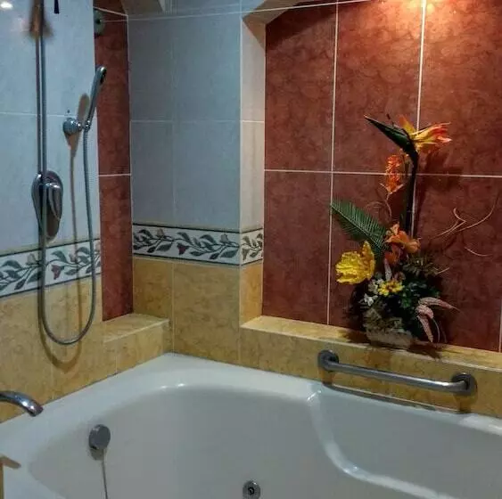 Fotos del hotel Suites Flamboyanes:  11