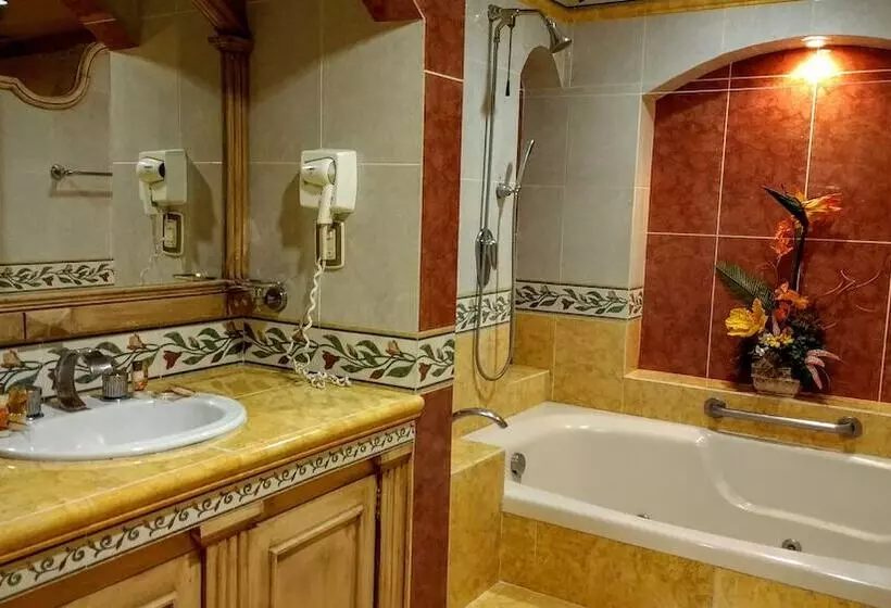 Fotos del hotel Suites Flamboyanes:  13