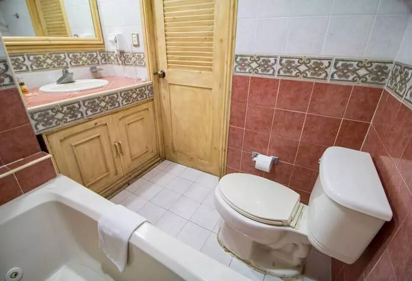 Fotos del hotel Suites Flamboyanes:  14