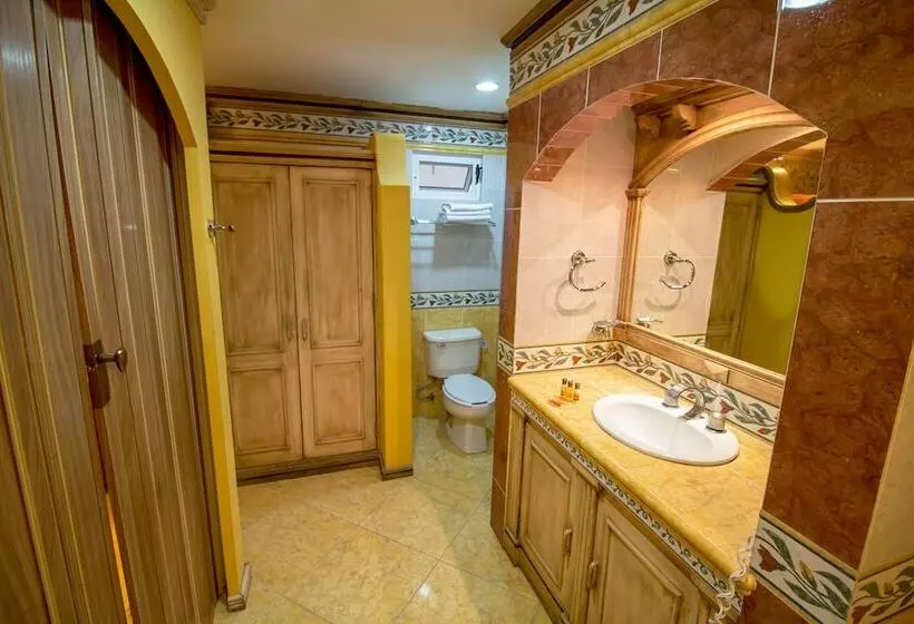 Fotos del hotel Suites Flamboyanes:  15