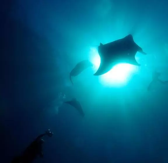 Fotos del hotel Siddhartha Ocean Front Resort & Spa:  21