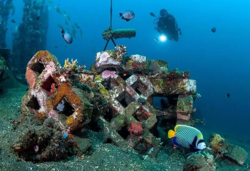 Fotos del hotel Siddhartha Ocean Front Resort & Spa:  23