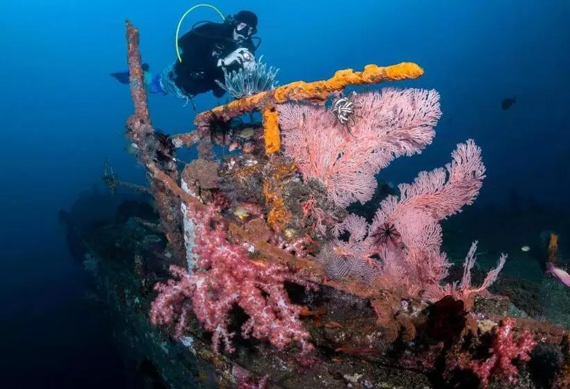 Fotos del hotel Siddhartha Ocean Front Resort & Spa:  16