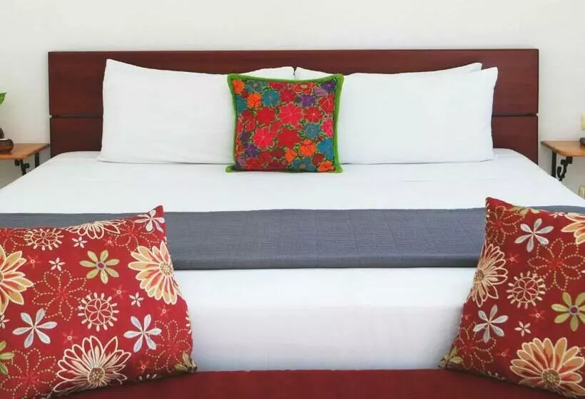 Fotos del hotel Merida Santiago Hotel Boutique:  15