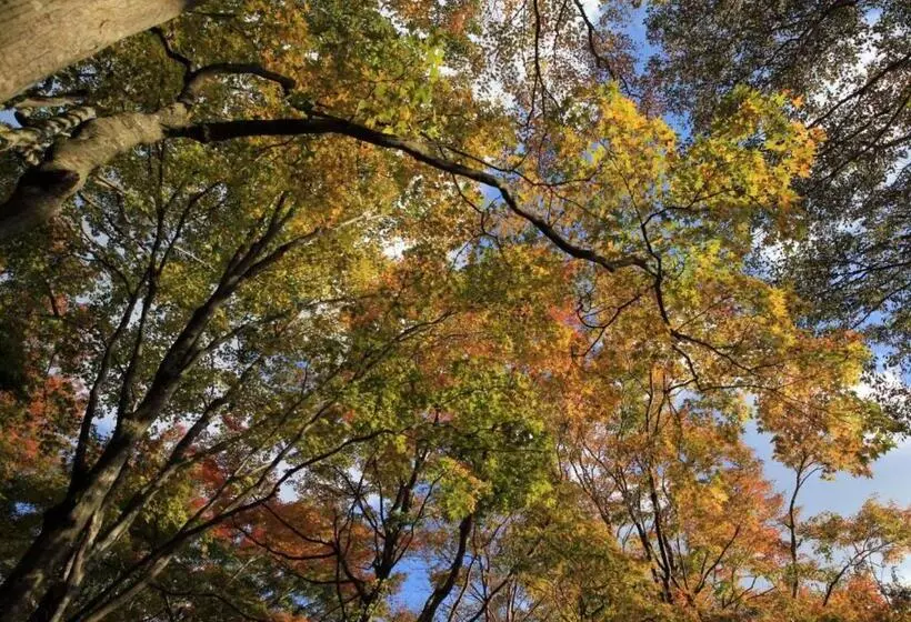 Fotos del hotel Manatei Hakone:  16