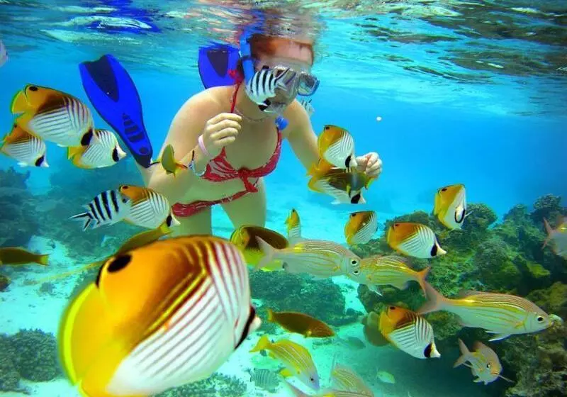 Fotos del hotel The Rarotongan Beach Resort & Lagoonarium:  9