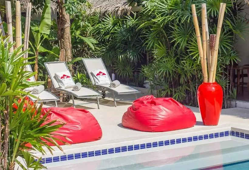 Fotos del hotel The White Cottage:  22