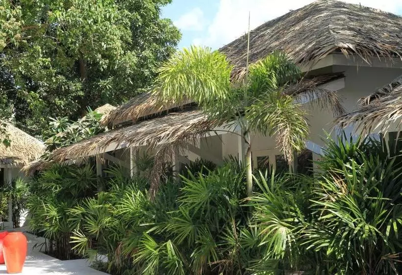 Fotos del hotel The White Cottage:  25