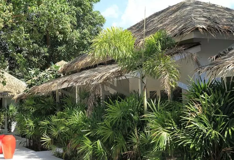 Fotos del hotel The White Cottage:  19