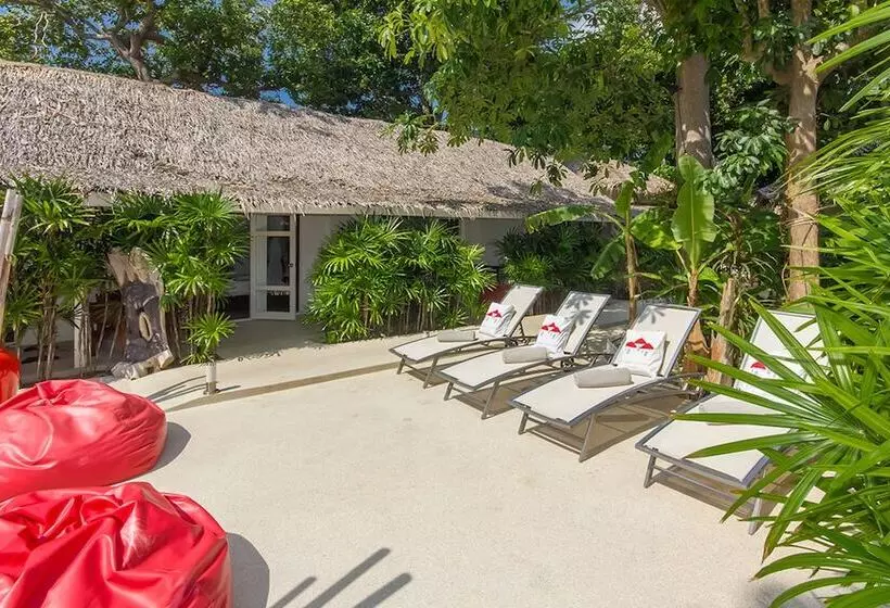 Fotos del hotel The White Cottage:  15