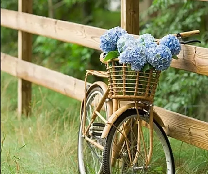 Fotos del hotel The Windmill Phuket:  8