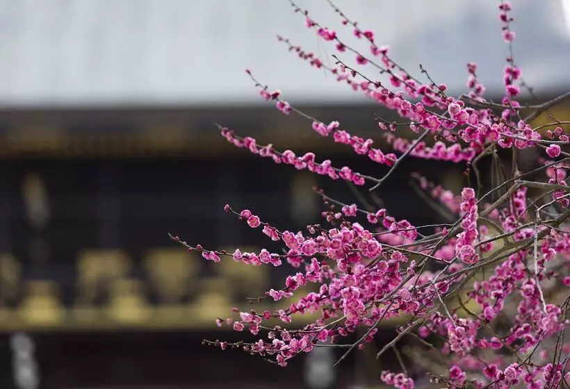 Fotos del hotel Urban  Kyoto Nijo Premium:  23