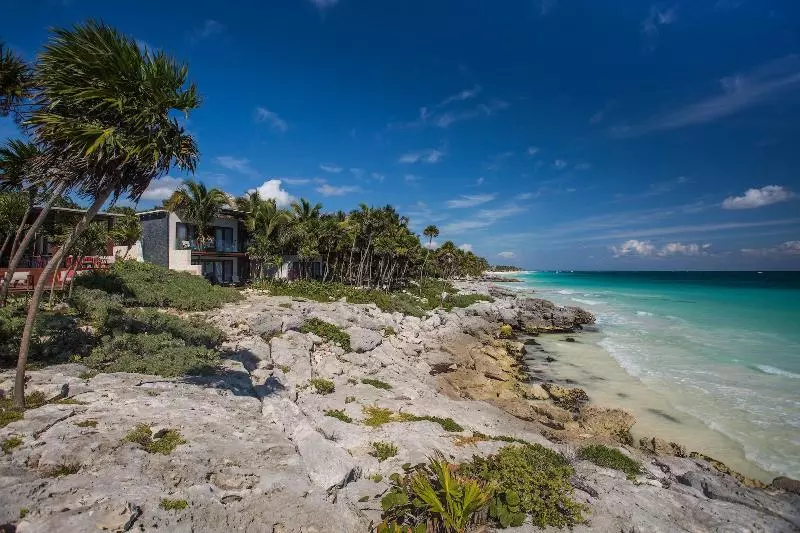 Fotos del hotel Mi Amor A Colibri Boutique Adults Only:  19