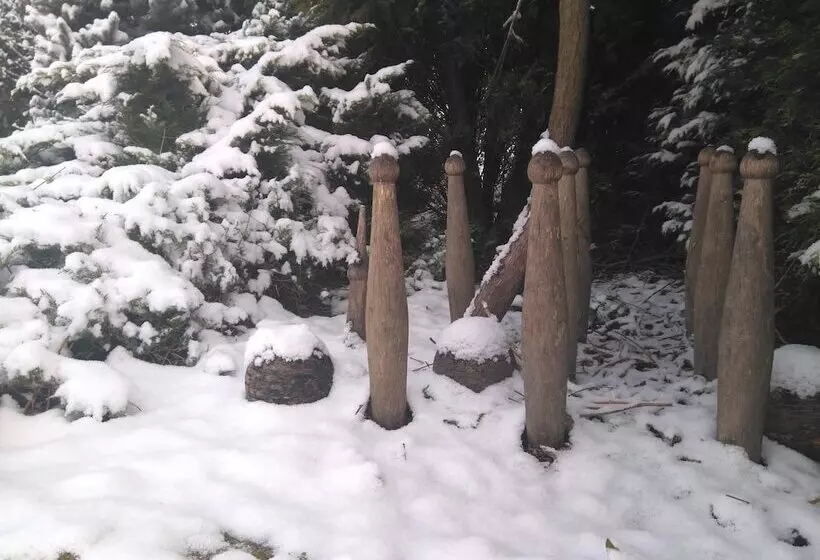 Fotos del hotel Posada La Cotía:  14