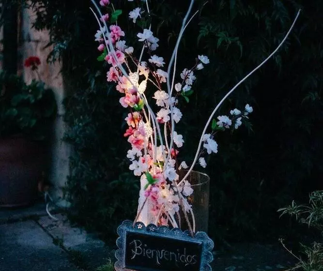 Fotos del hotel Posada La Cotía:  18