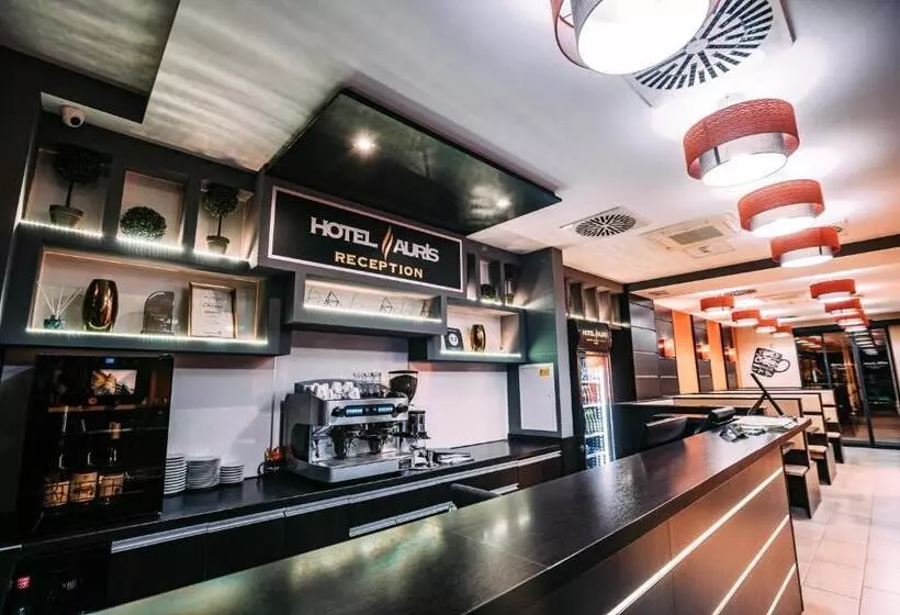 Fotos del hotel Auris:  6