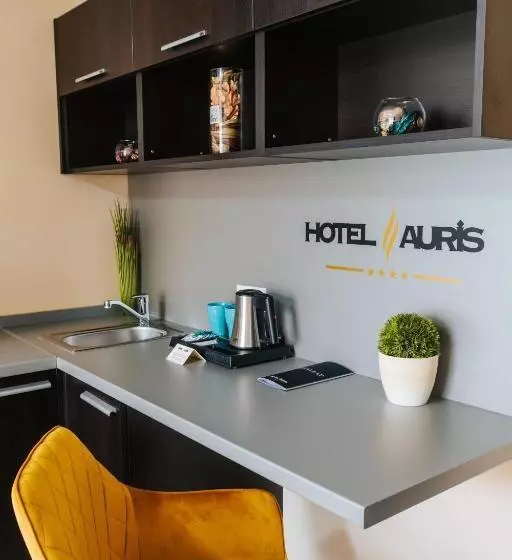 Fotos del hotel Auris:  4