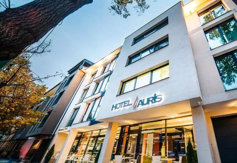 Fotos del hotel Auris:  9