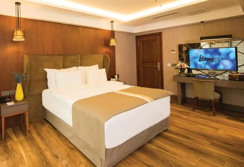 Fotos del hotel Blueway  Historical:  20