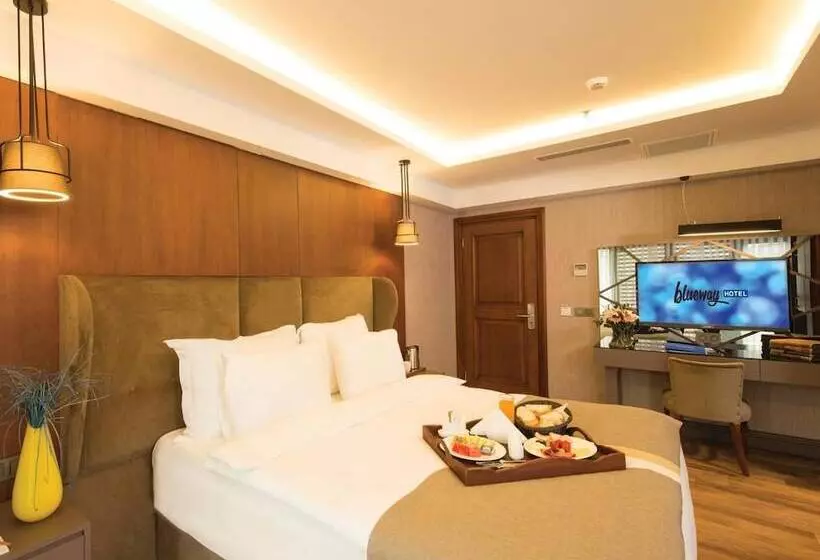 Fotos del hotel Blueway  Historical:  14