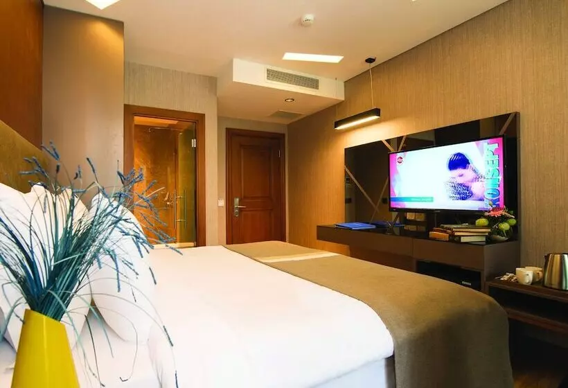 Fotos del hotel Blueway  Historical:  15