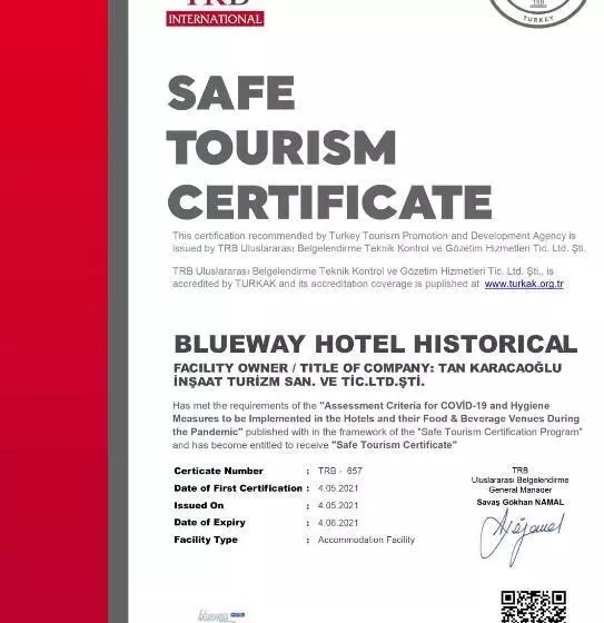 Fotos del hotel Blueway  Historical:  3