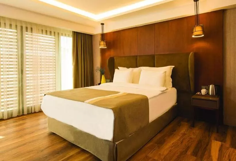 Fotos del hotel Blueway  Historical:  12