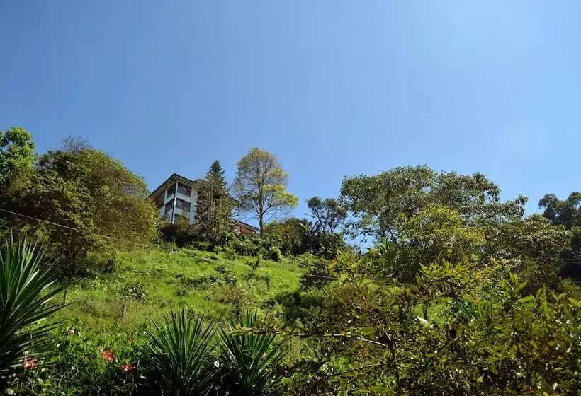 Fotos del hotel Eco Lodge La Juanita:  21