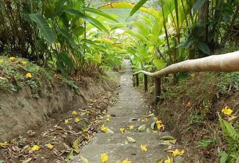 Fotos del hotel Eco Lodge La Juanita:  11