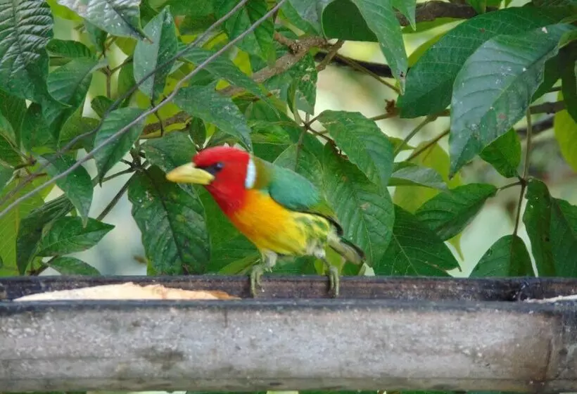 Fotos del hotel Eco Lodge La Juanita:  15