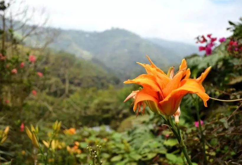 Fotos del hotel Eco Lodge La Juanita:  23