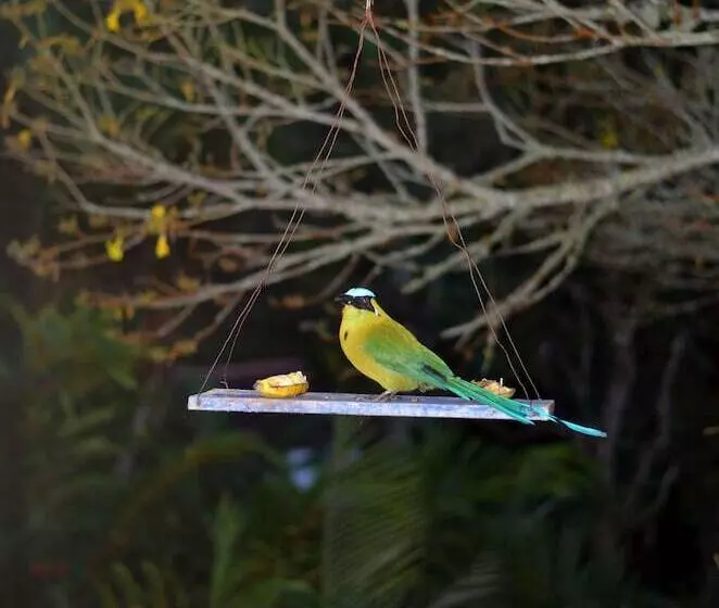 Fotos del hotel Eco Lodge La Juanita:  6