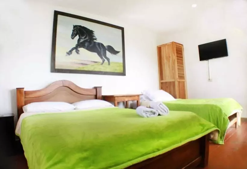 Fotos del hotel Eco Lodge La Juanita:  22