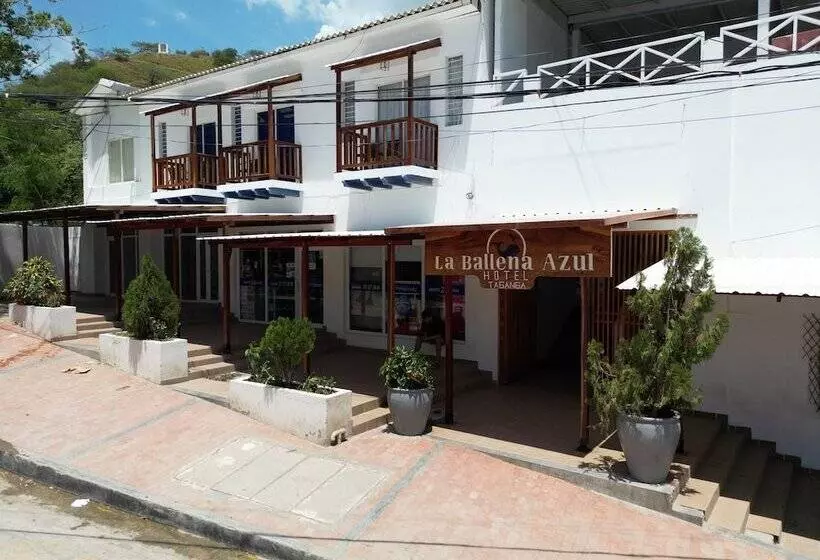 Fotos del hotel La Ballena Azul:  3