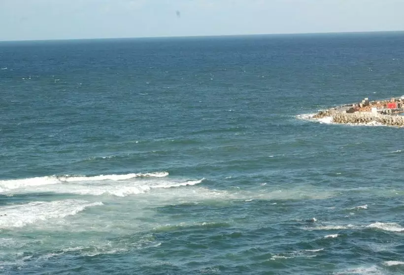 Fotos del hotel Royal Crown:  5